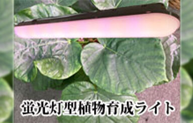 蛍光灯型植物育成ライト 販売事業 大澤硝子店 大阪市浪速区